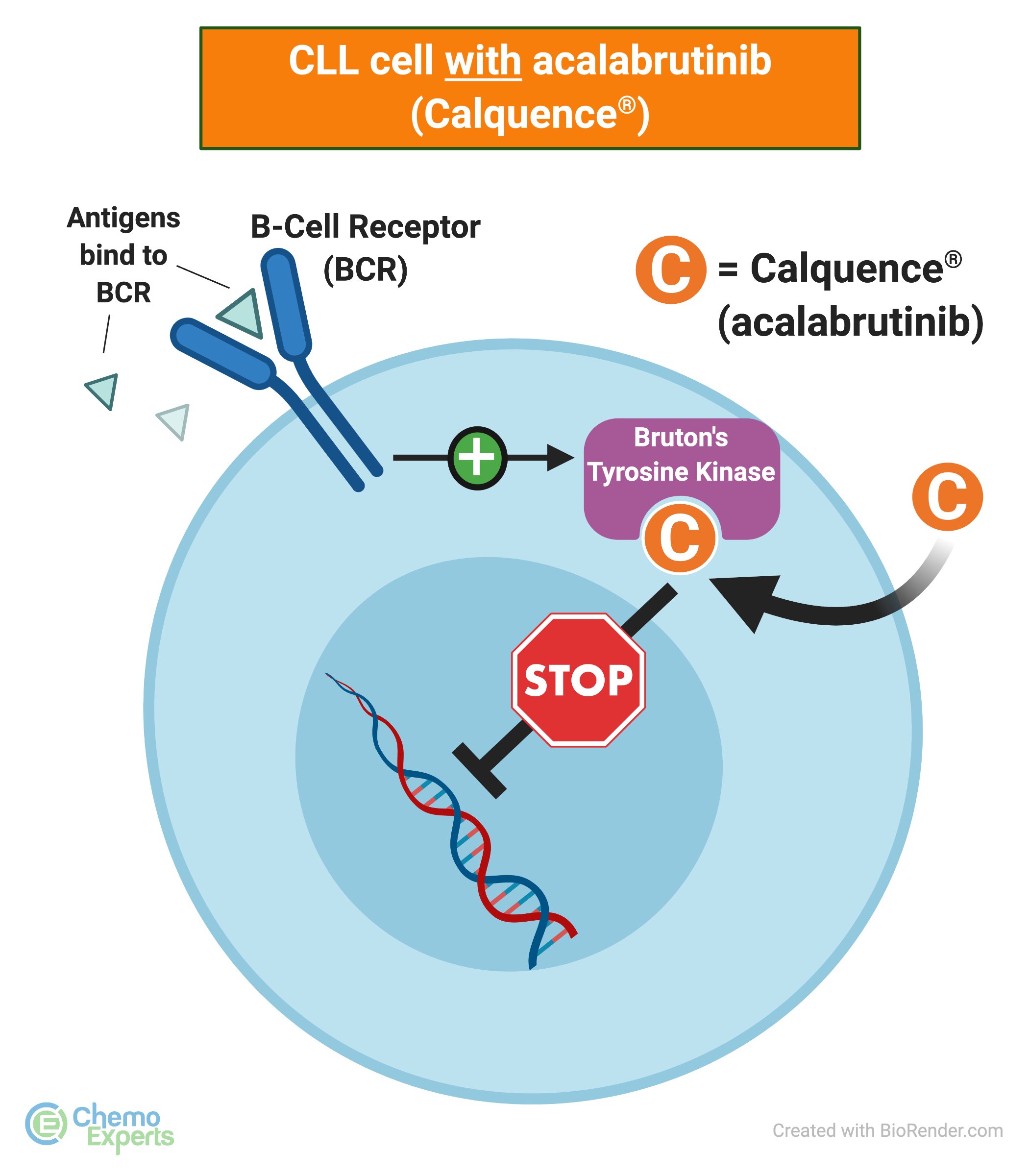 Acalabrutinib-calquence-mechanism-of-action-image.